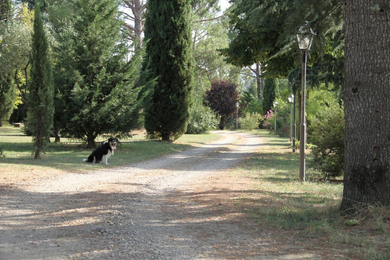 Villa Rigacci Hotel Reggello Dış mekan fotoğraf